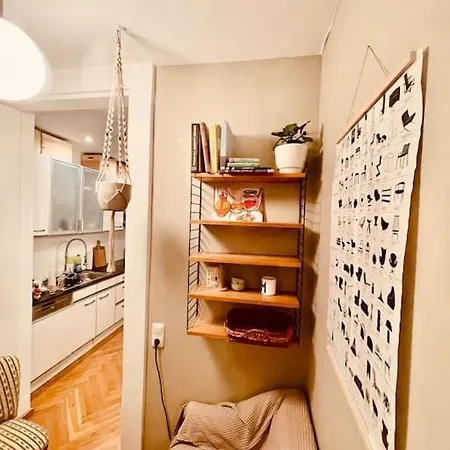 Appartement 18m2 Mit Jugendstil-charme Im Stadtzentrum